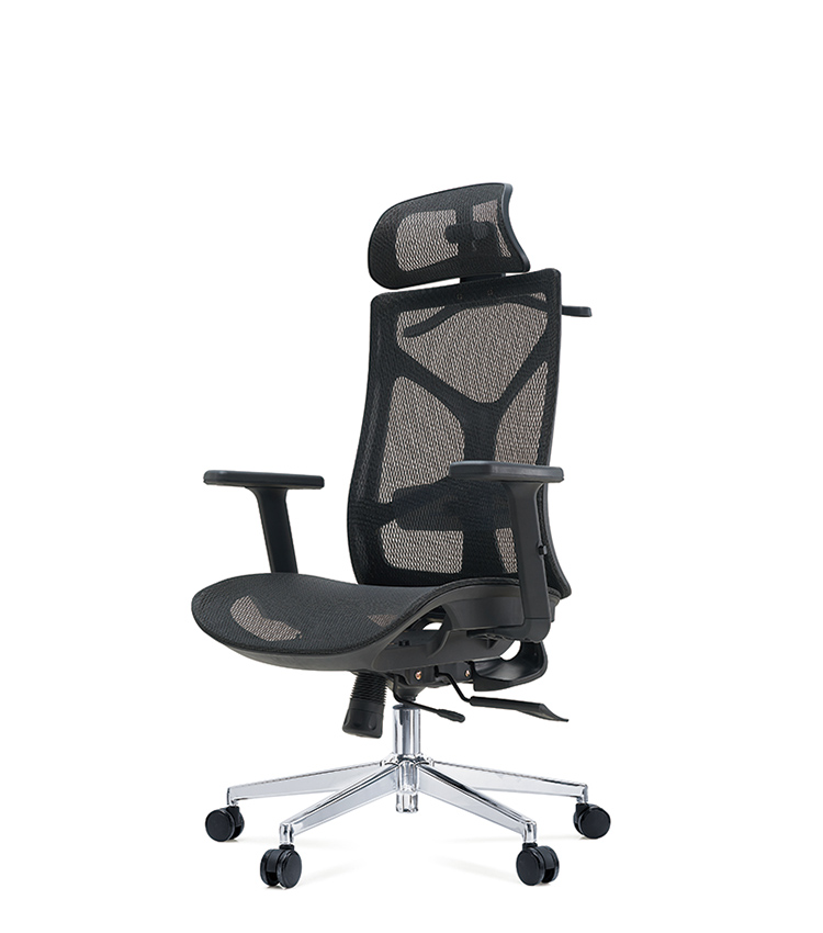 Executive Office Chair KM808A