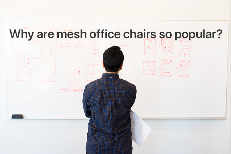 Why Are Mesh Office Chairs So Popular?